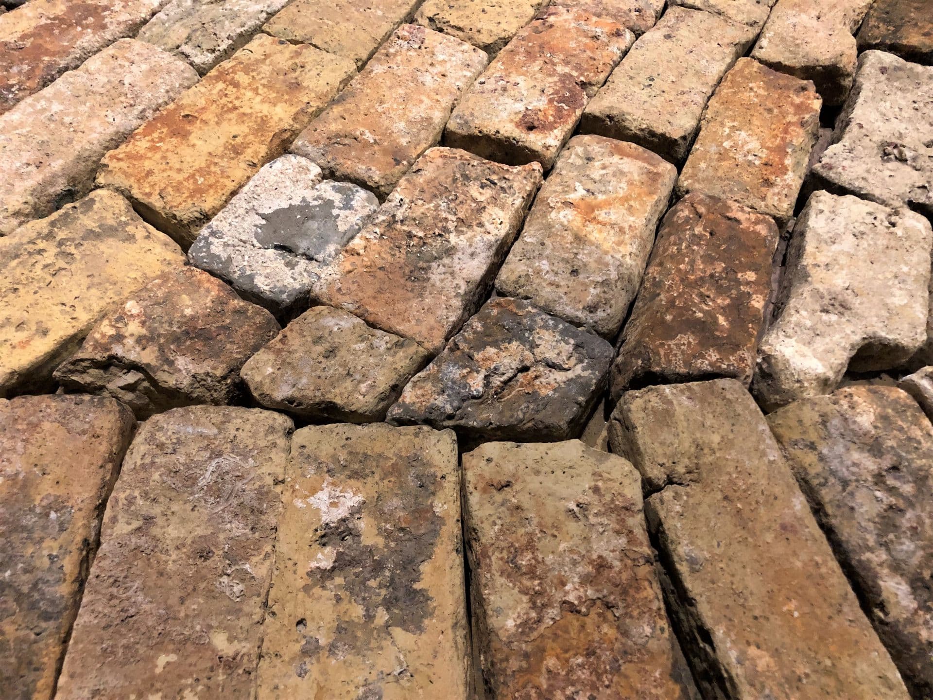 Batavia Bricks