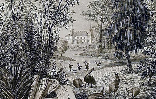 An etching of a beautiful parkland with emus and kangaroos in the foreground. In the lake in the centre of the image are some black swans, and in the distance is a French chateau.