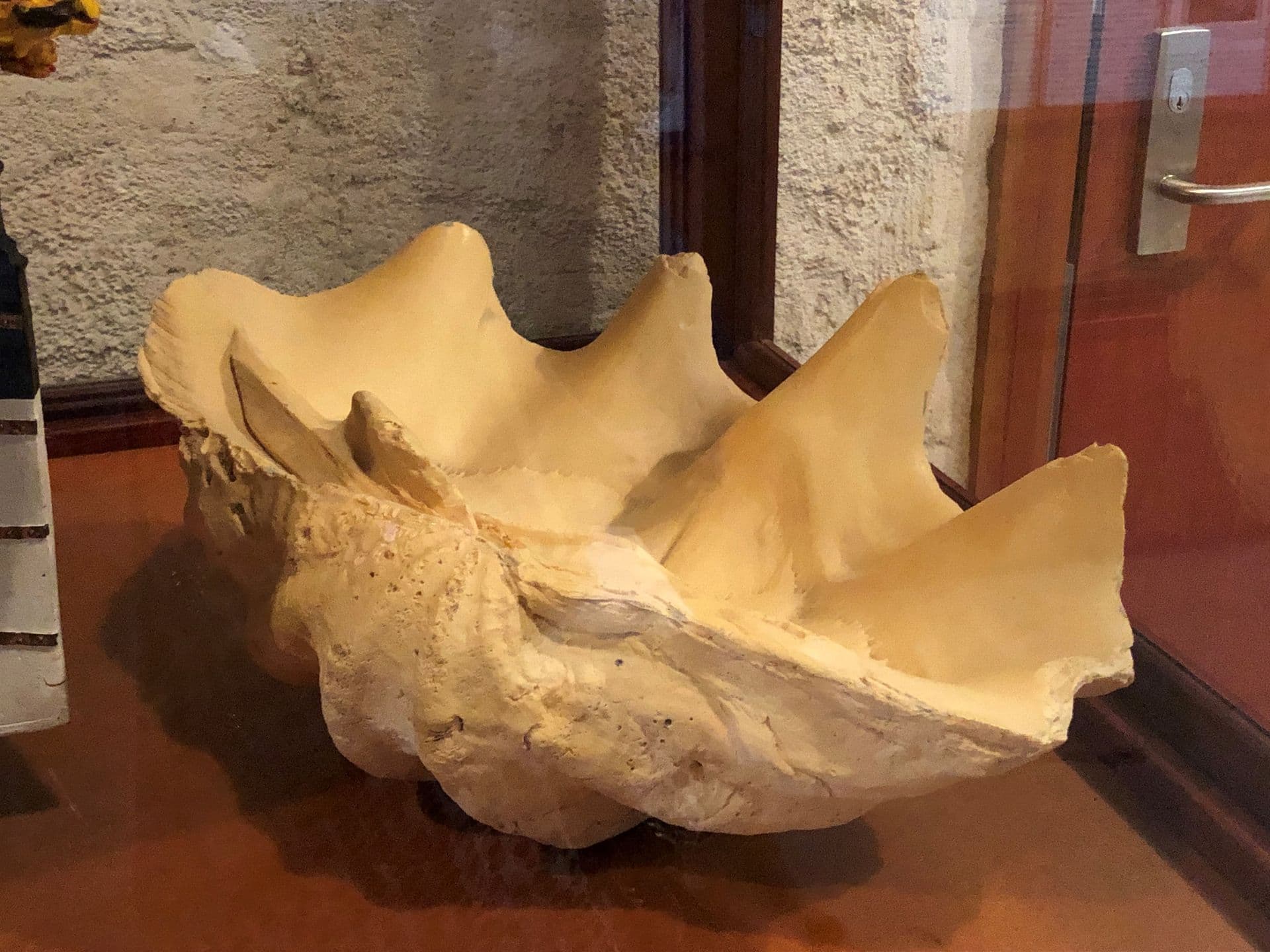 Clam Shell