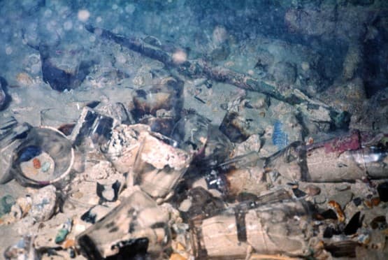 Wreck of Eglinton