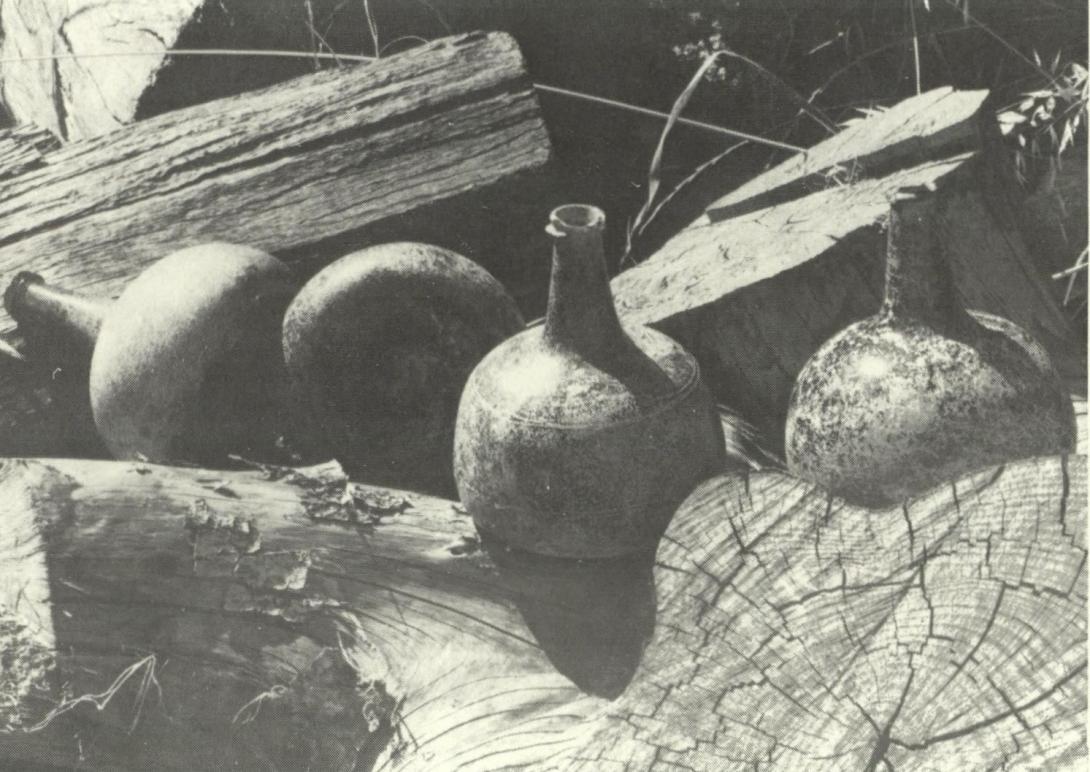 Black and white drawing of earthen wear bottles lying amongst wooden logs and grass.